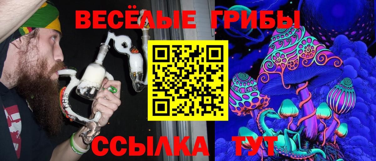 Галлюциногенные грибы Magic Shrooms Елец