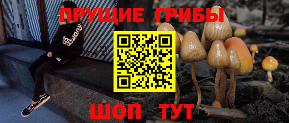 Елец  Галлюциногенные грибы Magic Shrooms  Вход с VPN 